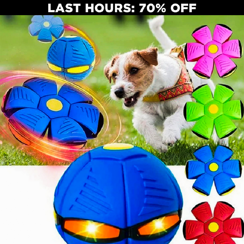 AirBall™ – Interactive Ball for Dogs